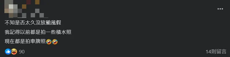 網友笑稱，如今颱風過後「車牌照」已取代大量積水災情照。翻攝《高雄大小事》臉書