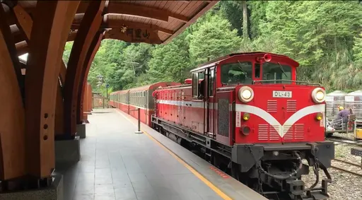風災中斷15年 阿里山林鐵這一天全線通車 車票開賣手刀快搶