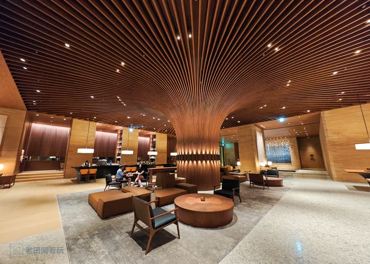 進入大廳，一棵壯碩的生命樹躍然眼前。田欣雲攝