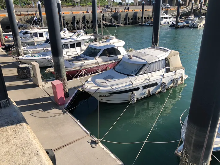 停泊漁船加強繫纜。農業局提供