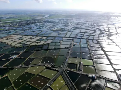 雲豹能源聯手外商　打造60MW嘉義漁電共生場域Q4動工