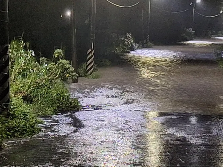 八掌溪附近道路淹水。翻攝林緗亭臉書