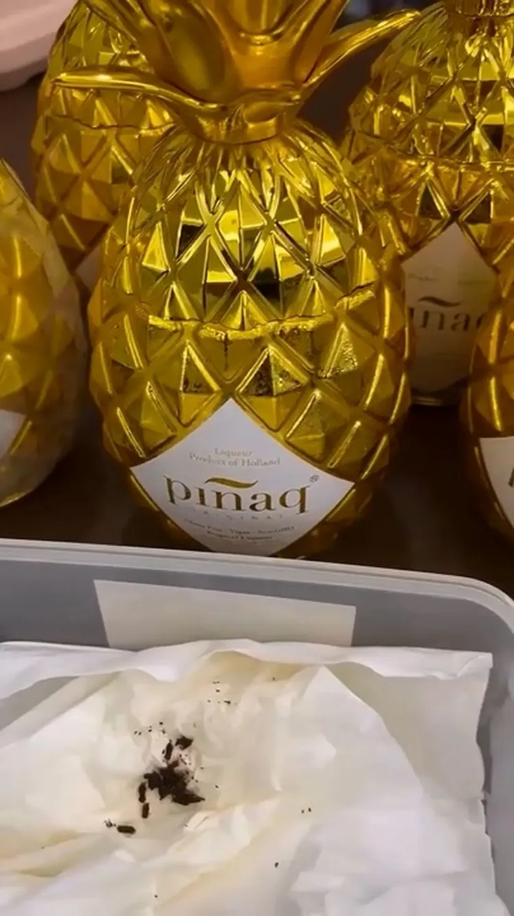 黃先生6月初至好市多購買數瓶鳳梨造型的熱帶水果風味利口酒，前兩天打開飲用，赫見底部有像是蟑螂的小蟲。黃守達提供