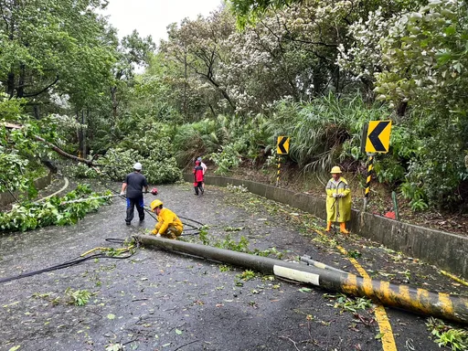 里長被自駕挖土機壓死!新北172件災情 路樹倒塌最多