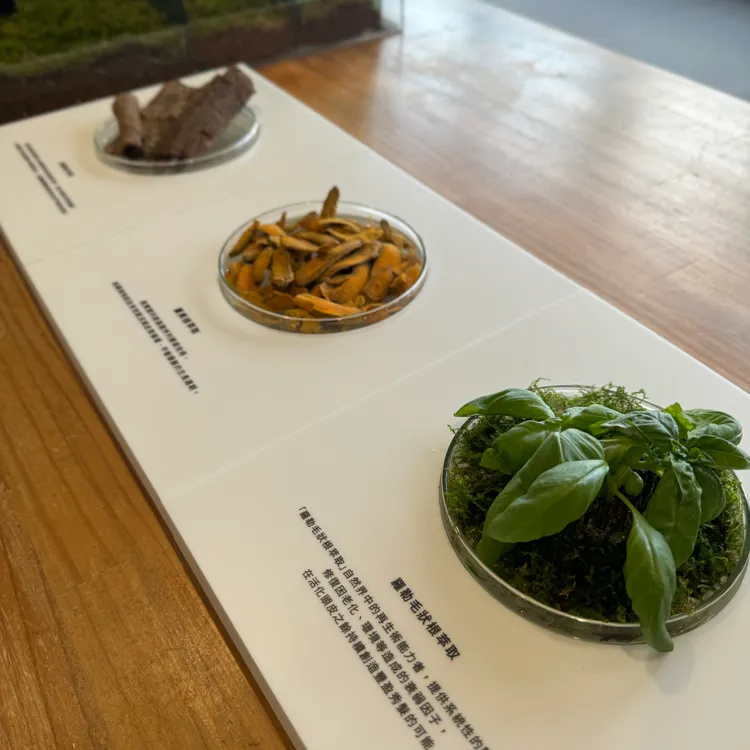 綠藤生機追根究柢養髮精華中添加有瑞士羅勒毛狀根萃取、北美楓樹皮萃取等成分。張家玲攝