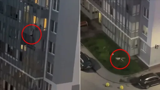 驚悚影片|向女友炫耀「大肌肌」 27歲男懸掛9樓外真摔死了