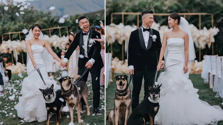 黃心穎去年嫁給樂團鼓手，訂情愛犬也入鏡。翻攝黃心穎IG