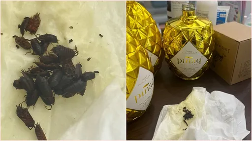 好市多出事了!利口酒喝到見底發現都是蟲 緊急將同批號全部下架
