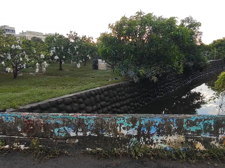 臺南市政府將移動式抽水機集中到麻豆區， 28日已完成抽排作業。市府提供