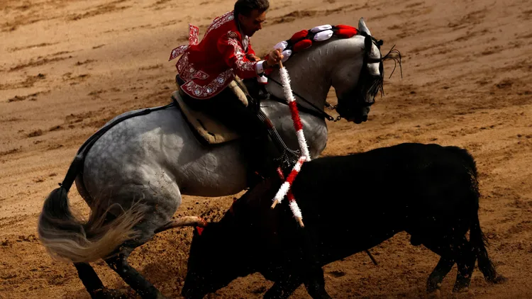 鬥牛士在競技場將公牛殺死。路透社
