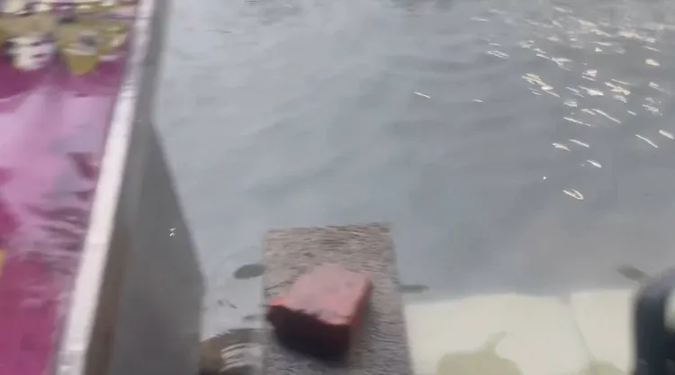 旗津下大雨，水淹進民宅。翻攝「旗津咱們的故鄉」臉書