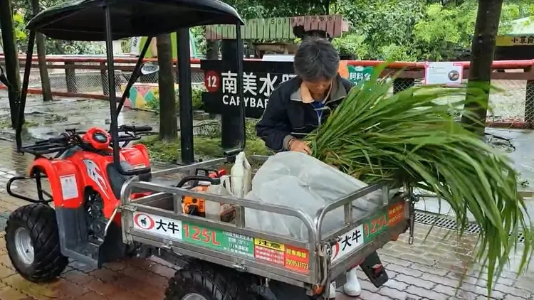 園區2000多隻動物不能沒飯吃，雖然颱風天停班課，飼育員還是每日準備「料理」。園方提供