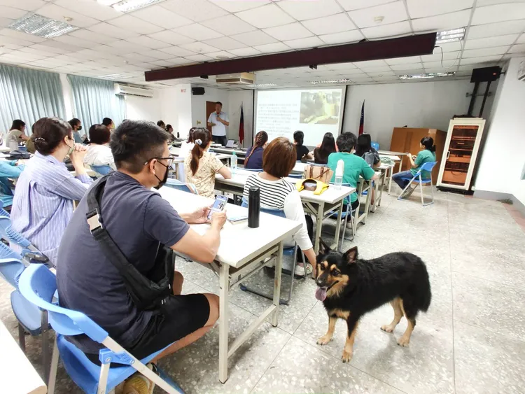 動保處舉辦「酷夏狗狗貓貓的熱衰竭」講座。動保處提供