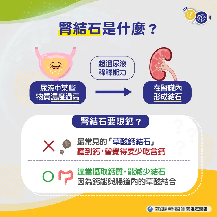 腎結石介紹。取自腸胃科醫師鄭泓志粉專
