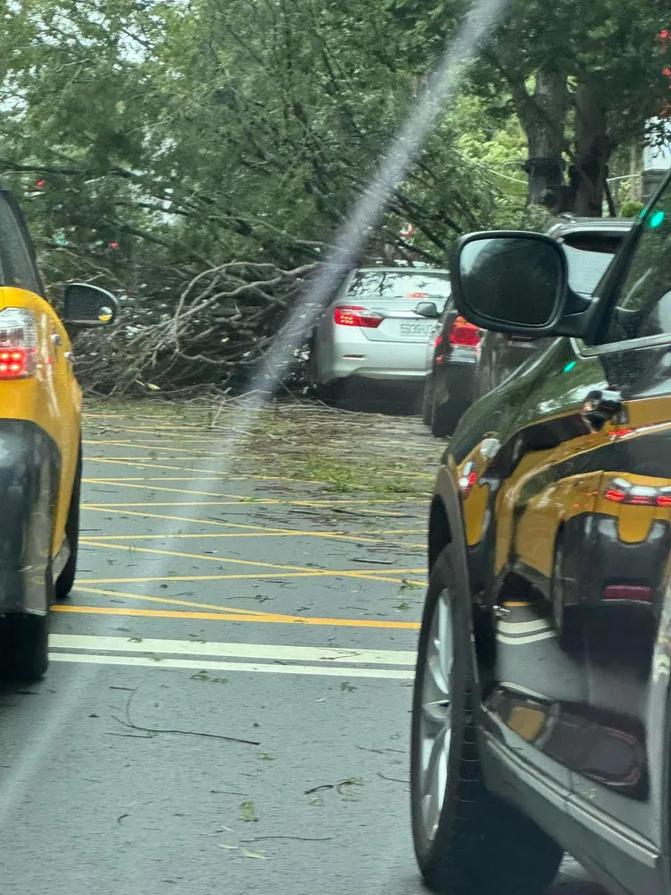 後方車輛也遭殃。翻攝「爆料公社」