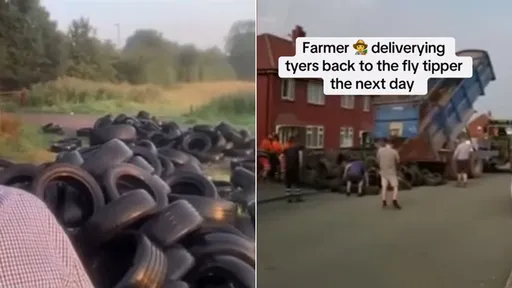 農地被當垃圾場「完璧歸趙」復仇 400顆廢輪胎送回他家門口