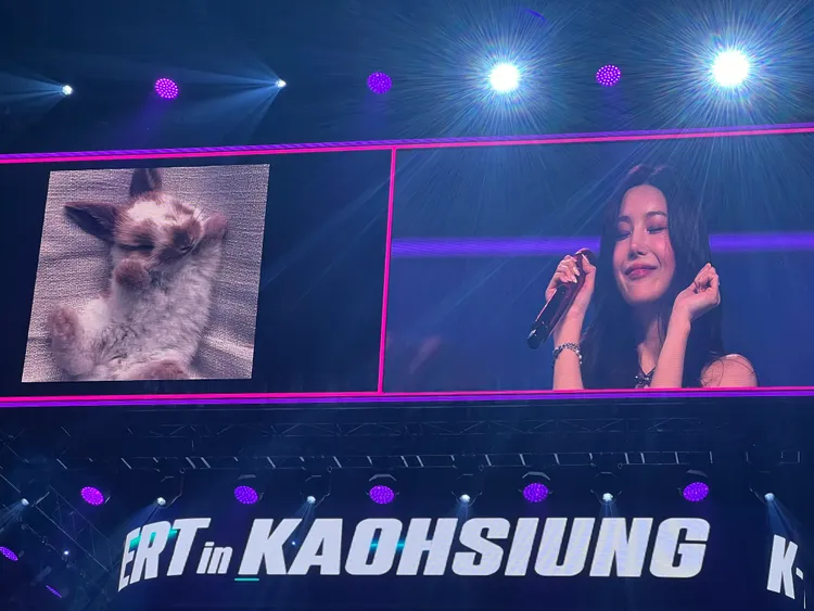 權恩妃接受考驗，模仿兔子擺出相同姿勢。讀者提供