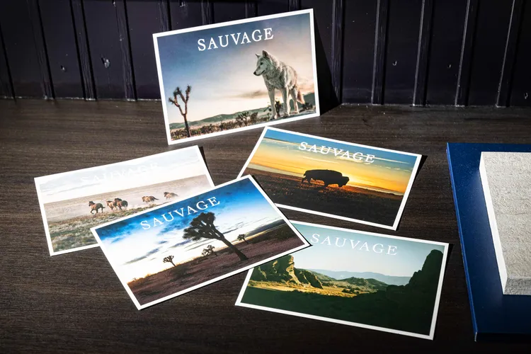 於快閃活動完成指定任務可獲得的名信片。品牌提供