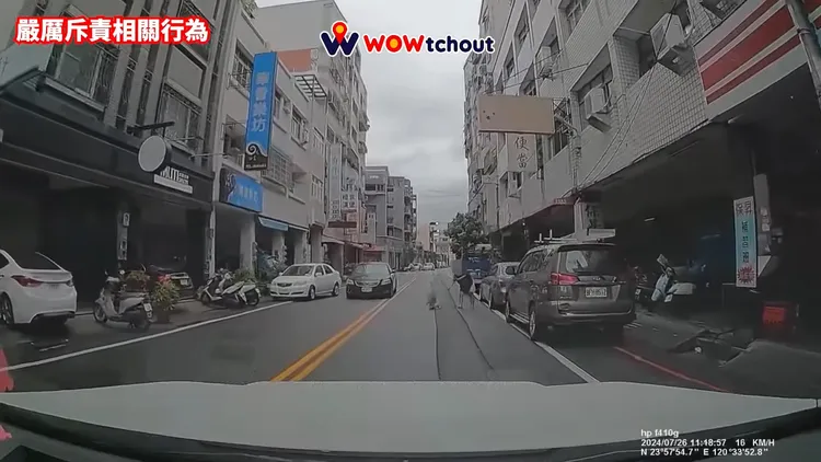 婦人將幼童推向路中央，險象環生。翻攝自 YouTube WoWtchout