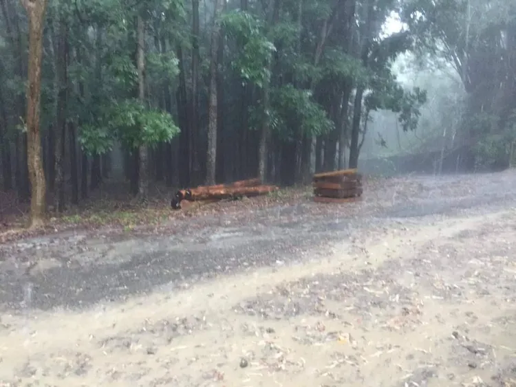 走馬瀨農場內充斥積水、泥濘。讀者提供