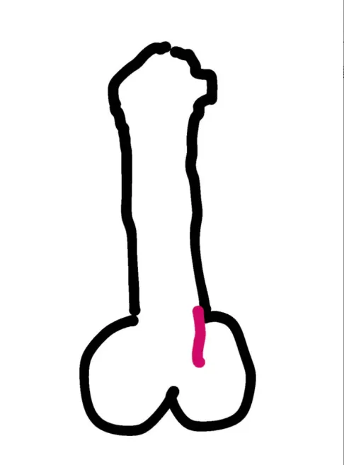 翻攝《Dcard》論壇