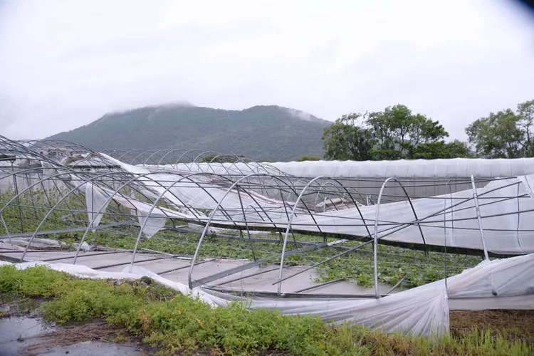 溫室網倒塌受損情況。花蓮縣政府提供
