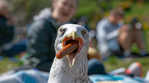 飛天搶匪!海鷗劫走230元熱狗 遊客一記反擊結果又損失3300元