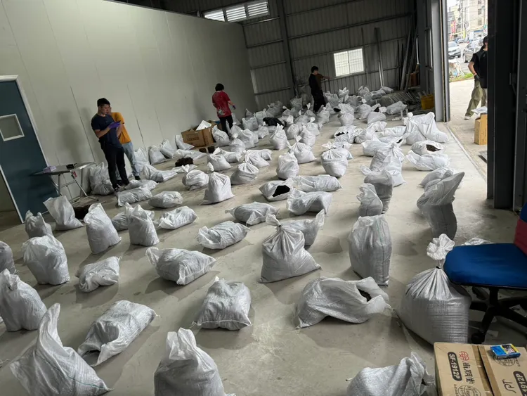 警方查獲大麻根部。警方提供