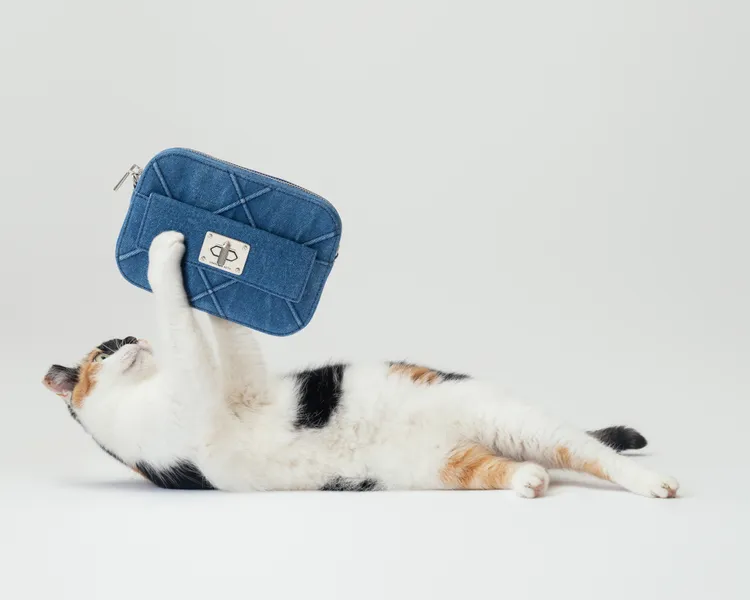 浪浪以超萌模樣演繹活潑的夏日時尚。品牌提供