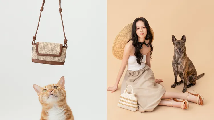 小CK邀請來自不同中途之家的浪浪們入鏡。品牌提供