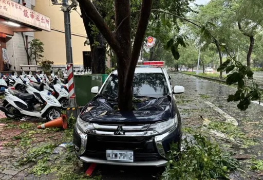 凱米侵台高雄警車也遭殃! 路樹折斷直插引擎蓋畫面超驚悚
