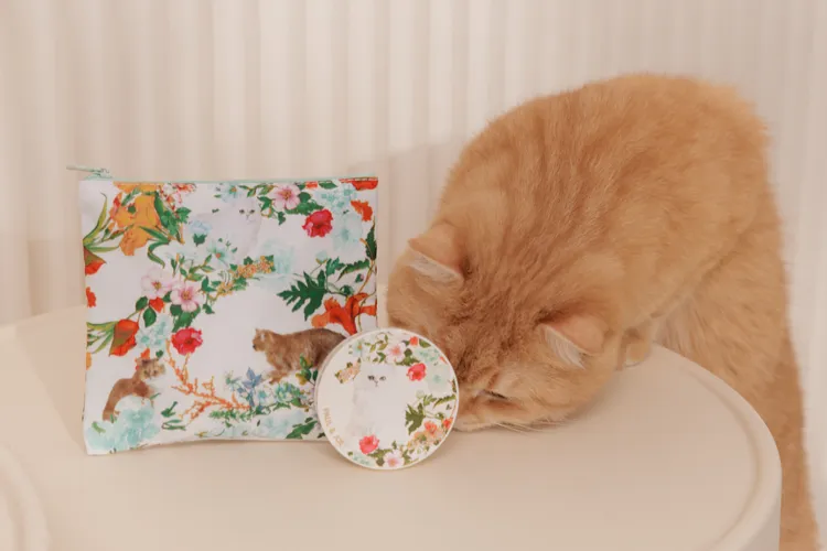 PAUL & JOE秘境貓咪限量超抗陽蜜粉餅組，有秘境貓咪限量超抗陽蜜粉餅加上防水拉鍊包，1550元。品牌提供
