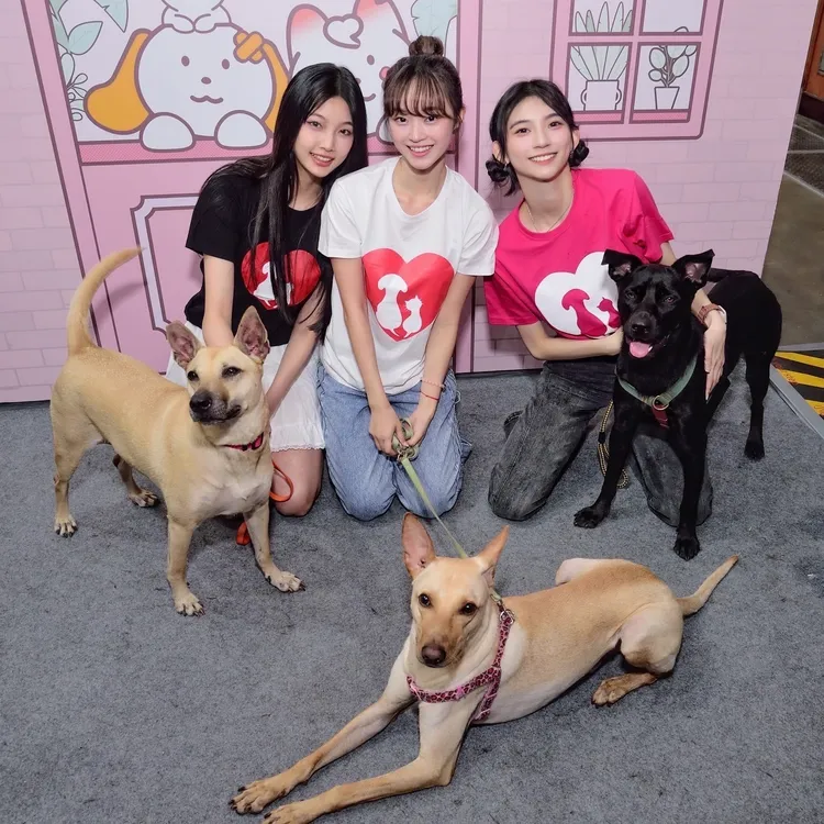 采婕（左起）、Emma、子筑出席寵物展做公益。流浪動物之家基金會提供