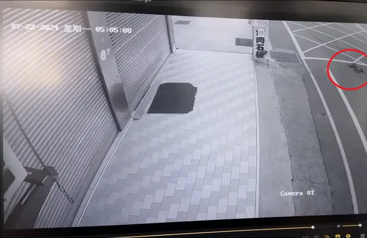 該隻流浪狗在被賴男撞上前就已倒在馬路上，疑似已死亡。民眾提供