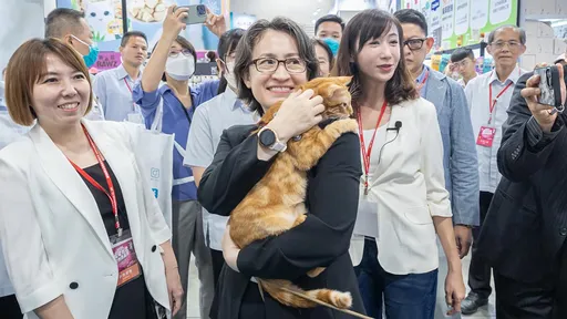 蔡英文當宅女拒寵物展後悔了 怨蕭美琴「沒跟我說有貓可以抱」