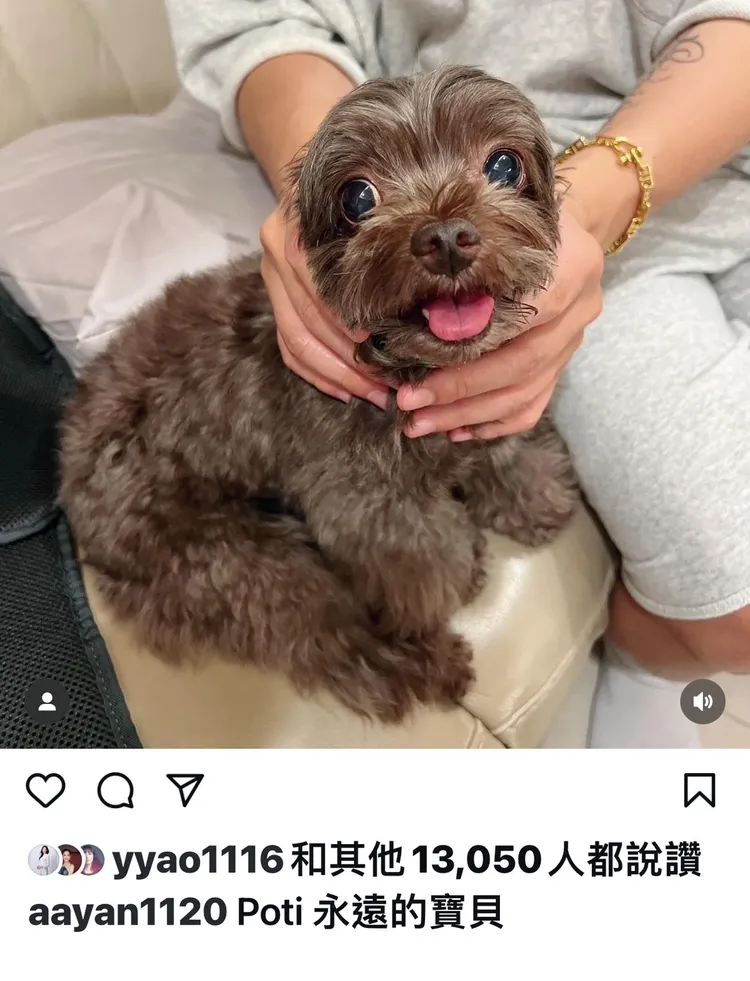 炎亞綸喊Poti「永遠的寶貝」。翻攝炎亞綸IG