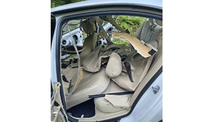 車內座椅遭黑熊嚴重抓損。美聯社