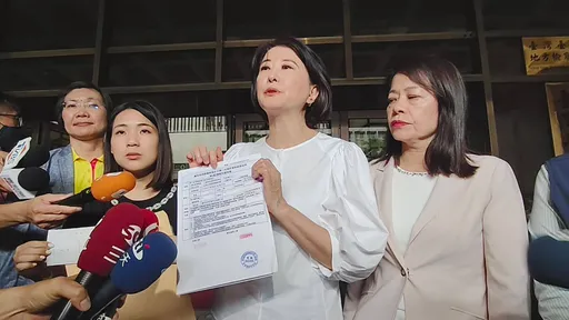 排審《罷免法》修正案遭阻撓 王鴻薇、徐巧芯告民進黨團這3罪