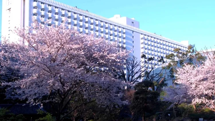 位於東京品川的「新高輪格蘭王子大飯店」，不僅擁有多種類型的客房，更坐享於佔地約 2 公頃的日式花園之中。業者提供