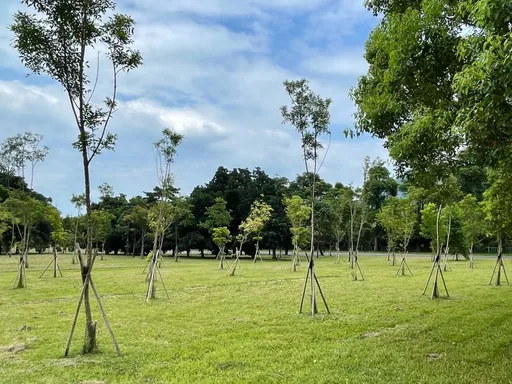 中央、地方、企業三方合作植樹　環境部通過石門水庫植樹自然碳匯註冊