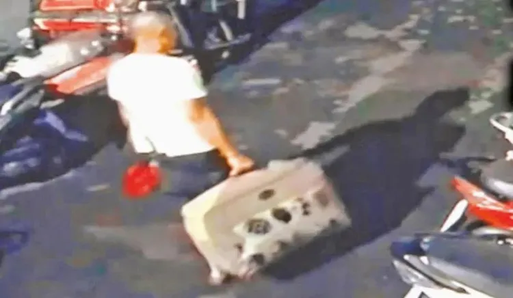 陳威嘉將女童屍體裝袋，到南投山區挖洞棄屍。資料照片