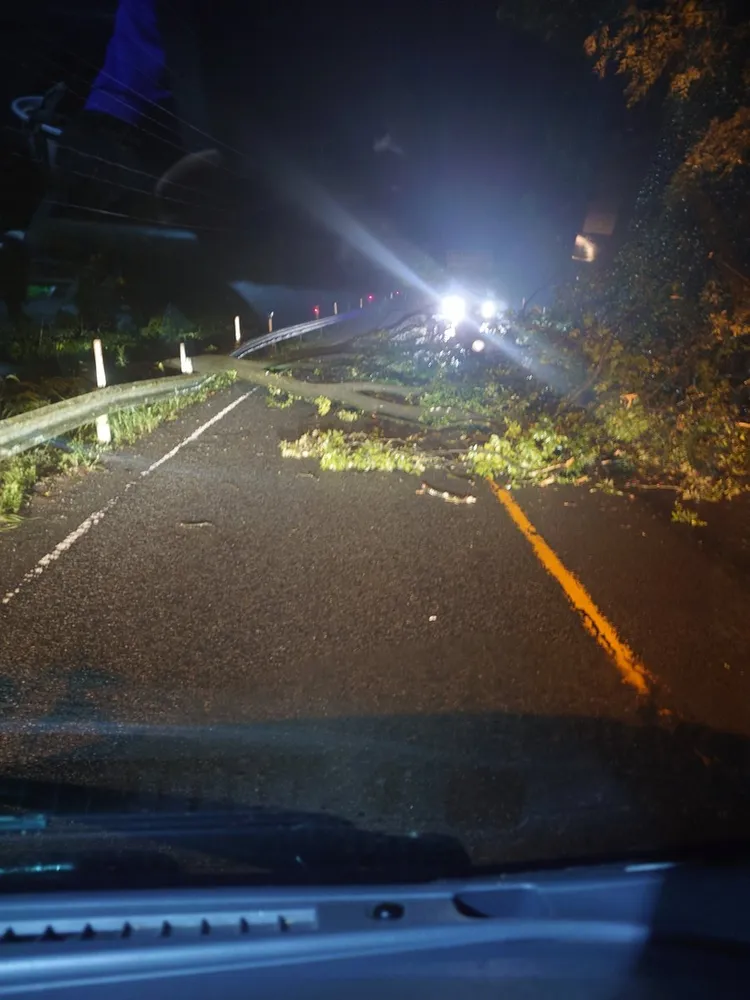 宮崎路樹倒塌道路中斷。翻攝自X_@asuteka1gou