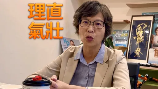 被爆假帳破百萬 蔡壁如喊冤「會計師說一切合法合規」