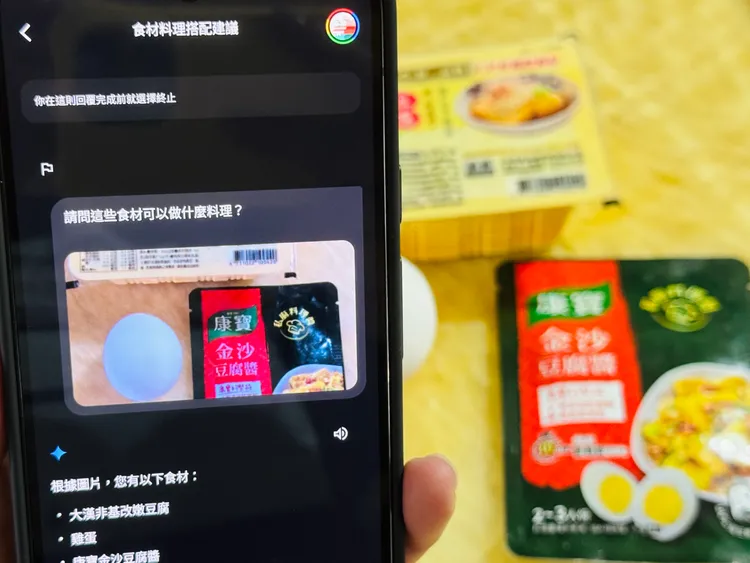 Google Gemini Advanced可以透過拍下的食材做出料理建議。趙筱文 攝