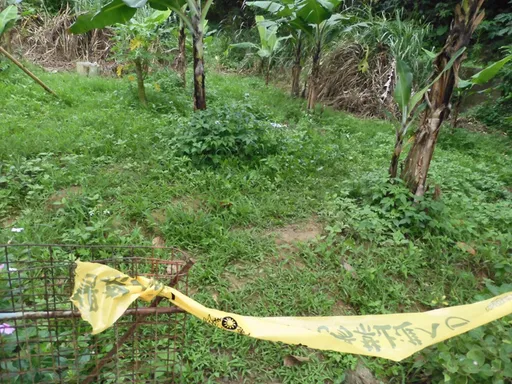 樹林軍人公墓旁無名屍只剩白骨　新北鑑識中心比對DNA助他落葉歸根