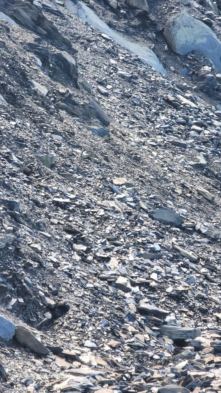 高越嶺國家步道西段近2年陸續受到颱風及0403花蓮地震影響，沿線步道設施損壞嚴重。林業署南投分署提供