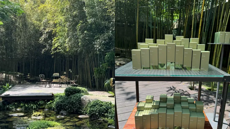 蔚香水香調為帶有柑橘綠意的木質清新調。張家玲攝