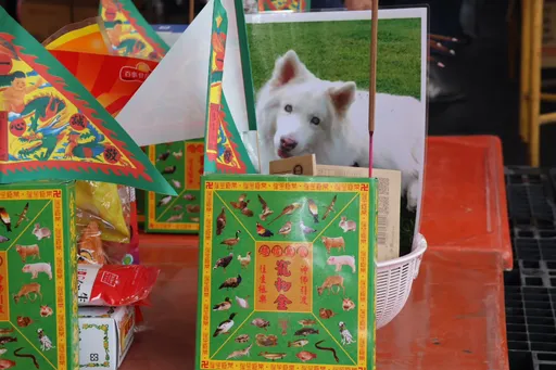 毛小孩也要普渡!屏東首次寵物普渡 還設路殺動物專區