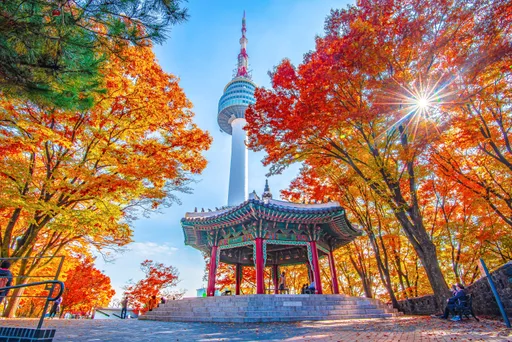 玩韓國買一送一!今起旅展限定優惠 行程現折3000元