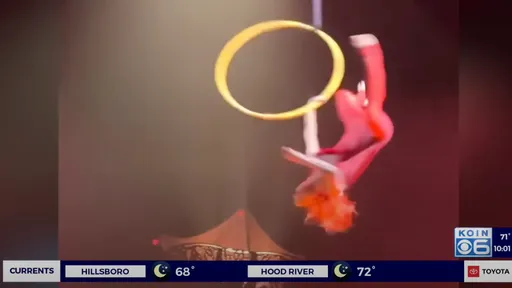 影片｜驚悚一瞬全錄下！太陽馬戲團美女演員出事　高空臉朝下墜地